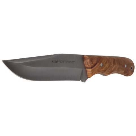 Nóż Muela Full Tang Olive Wood, Satin X50CrMoV15 (PIONEER-14.OL)