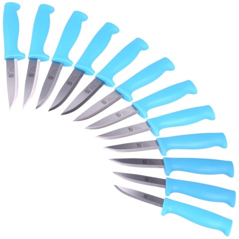 Zestaw 12 szt noży Eyeson by Lindbloms Craftman's Knife Light Blue Carbon 100mm (VT-860HBx12) Zestaw 12 szt noży Eyeson by Lindbloms Craftman's Knife Light Blue Carbon 100mm (VT-860HBx12)