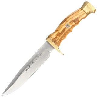 Nóż Muela Ranger-14OL Olive Wood, Satin X50CrMoV15