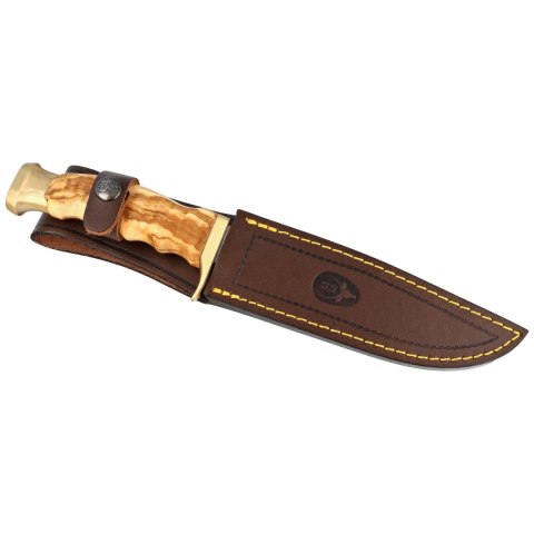Nóż Muela Ranger-14OL Olive Wood, Satin X50CrMoV15