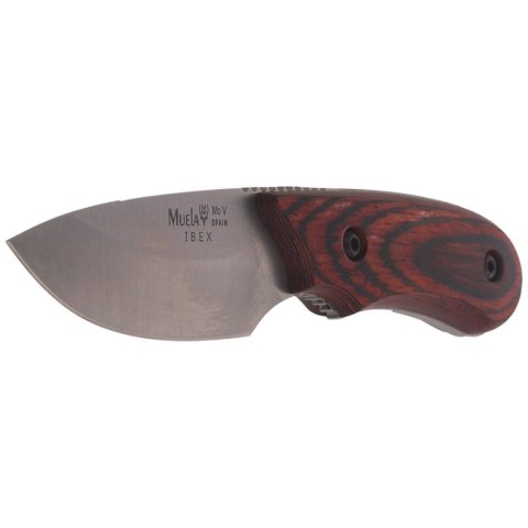 Nóż Muela Full Tang Pakkawood, Satin X50CrMoV15 (IBEX-8R) Nóż Muela Full Tang Pakkawood, Satin X50CrMoV15 (IBEX-8R)