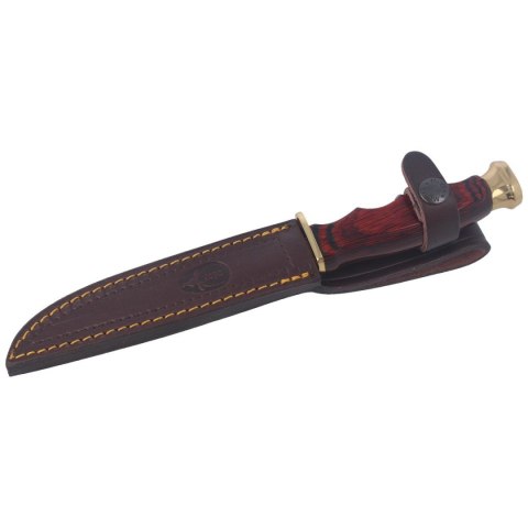 Nóż Muela BWF-14 Pakka Wood, Stain X50CrMoV15