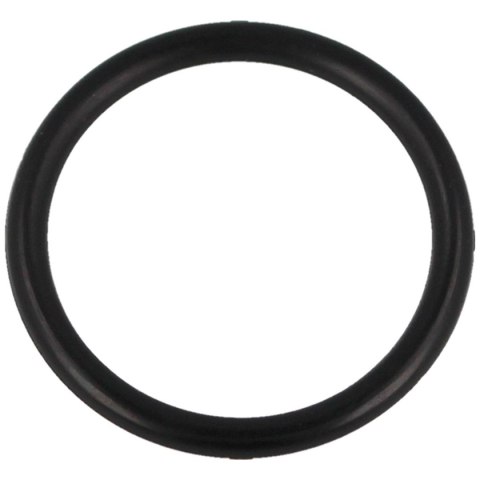 O-Ring 22*2.5 do pompki PCP Hatsan Hand Pump (18) O-Ring 22*2.5 do pompki PCP Hatsan Hand Pump (18)