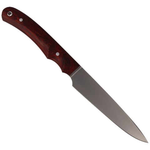 Nóż Muela Criollo-14 Coral Pakka Wood, Satin 1.4116