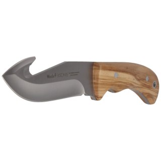 Nóż Muela Bisonte-11.OL Olive Wood, Satin X50CrMoV15