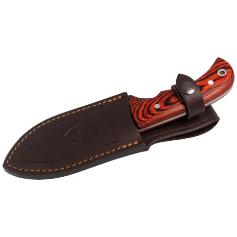 Nóż Muela Bisonte-11R Pakka Wood, Satin X50CrMoV15 Nóż Muela Bisonte-11R Pakka Wood, Satin X50CrMoV15
