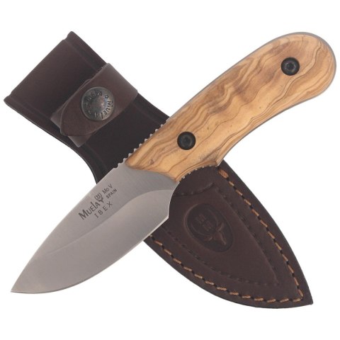 Nóż Muela Full Tang Olive Wood, Satin X50CrMoV15 (IBEX-8.OL) Nóż Muela Full Tang Olive Wood, Satin X50CrMoV15 (IBEX-8.OL)